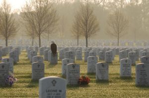 Fort Snelling National Cemetery.  (Photographed by Frank Glick, copyright 2011)